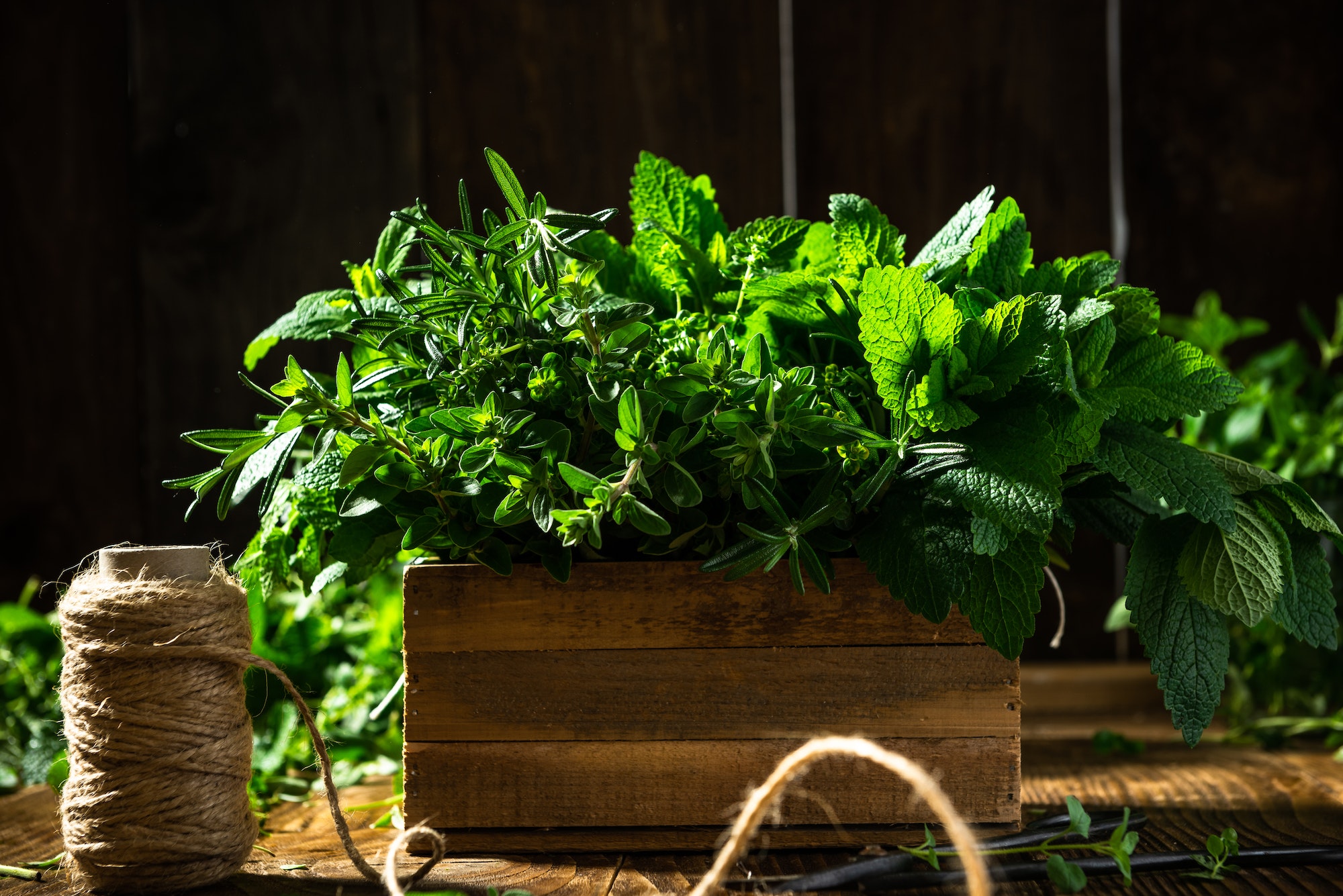 Fresh Herbs in Wooden Rustic Box. Healthy Eating. Home Grown Plants