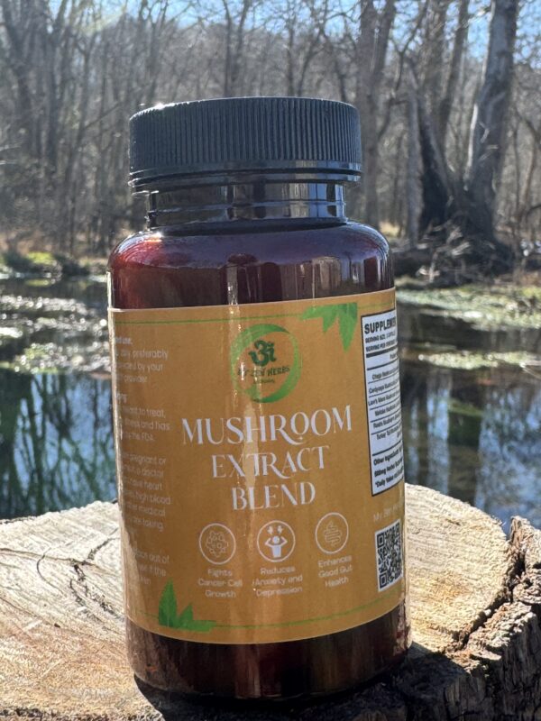 Mushroom Extract Blend