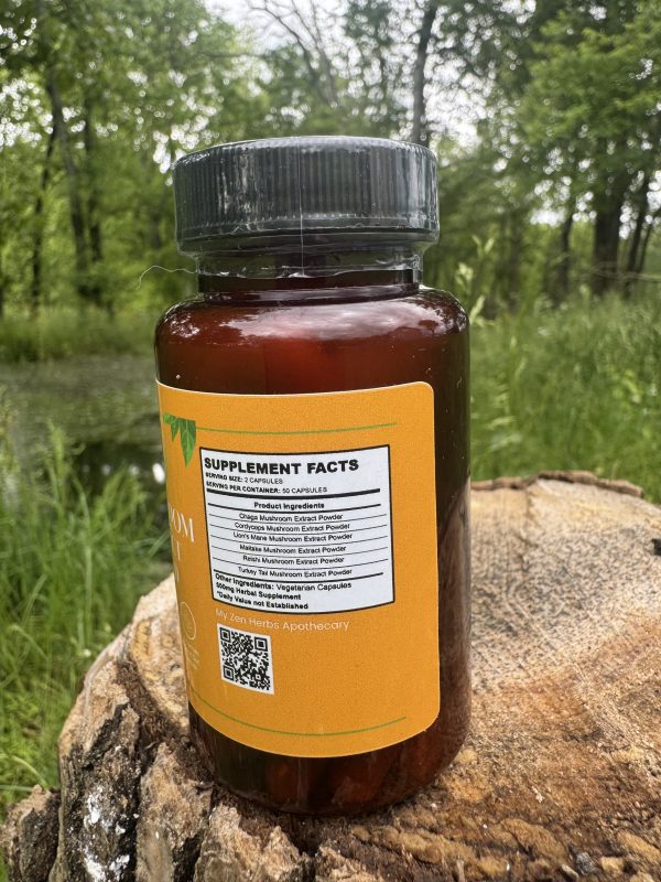 Mushroom Extract Blend - Image 3