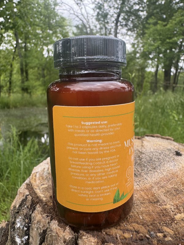 Mushroom Extract Blend - Image 2